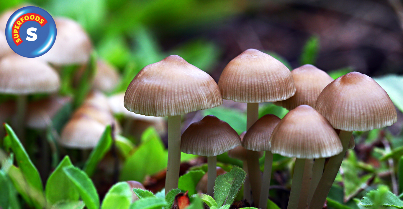 Superfood: Mushrooms